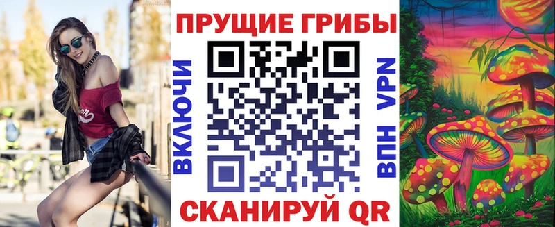 Купить где Новомосковск Галлюциногенные грибы мухоморы